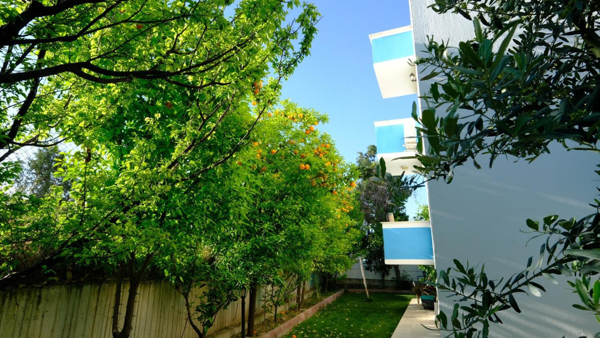 Bed and Breakfast The Cotton House Pamukkale Exterior foto